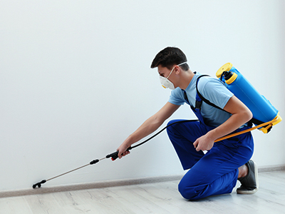 Pest Control & Hygienic Services